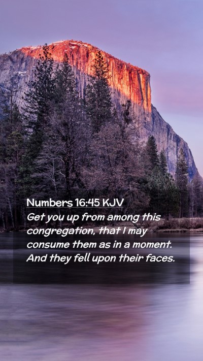 Picture 02 - Numbers 16:45 KJV Mobile Phone Wallpaper - Get you up from among this congregation, that I - Mobile Bible Verse Wallpaper