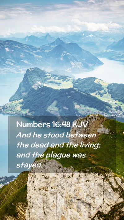 Picture 02 - Numbers 16:48 KJV Mobile Phone Wallpaper - And he stood between the dead and the living; and - Mobile Bible Verse Wallpaper