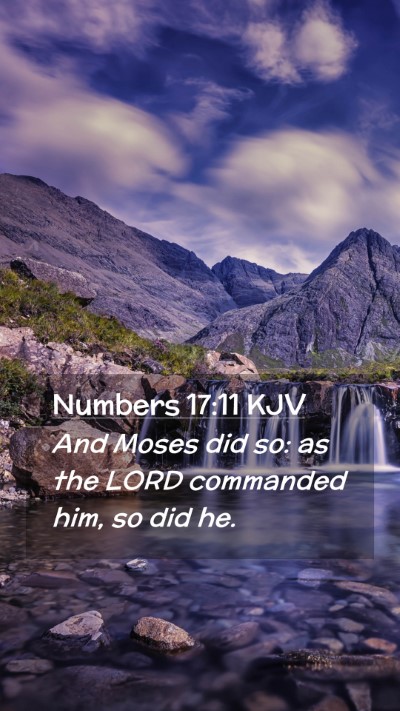 Picture 02 - Numbers 17:11 KJV Mobile Phone Wallpaper - And Moses did so: as the LORD commanded him, so - Mobile Bible Verse Wallpaper