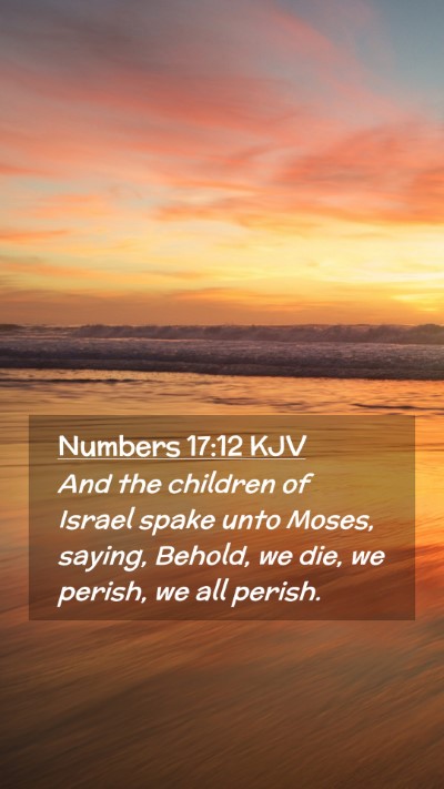 Picture 02 - Numbers 17:12 KJV Mobile Phone Wallpaper - And the children of Israel spake unto Moses, - Mobile Bible Verse Wallpaper