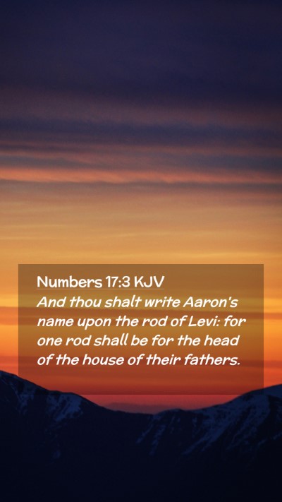Picture 02 - Numbers 17:3 KJV Mobile Phone Wallpaper - And thou shalt write Aaron's name upon the rod of - Mobile Bible Verse Wallpaper