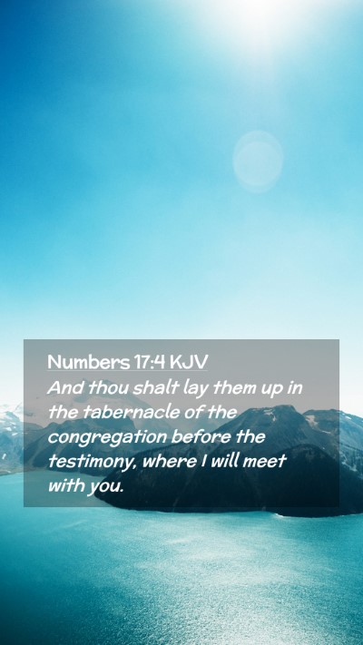 Picture 02 - Numbers 17:4 KJV Mobile Phone Wallpaper - And thou shalt lay them up in the tabernacle of - Mobile Bible Verse Wallpaper