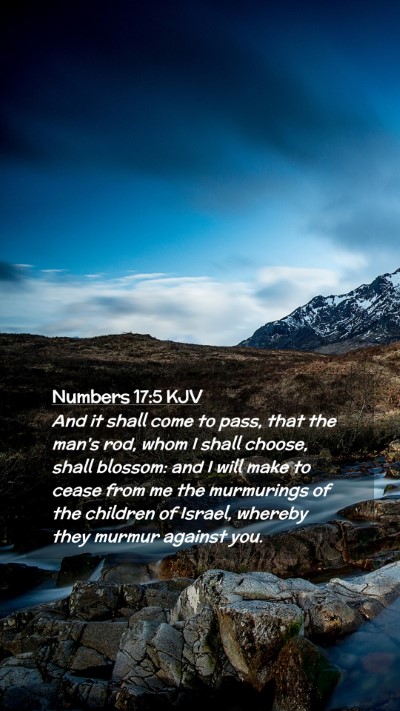 Picture 02 - Numbers 17:5 KJV Mobile Phone Wallpaper - And it shall come to pass, that the man's rod, - Mobile Bible Verse Wallpaper