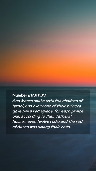 Picture 02 - Numbers 17:6 KJV Mobile Phone Wallpaper - And Moses spake unto the children of Israel, and - Mobile Bible Verse Wallpaper