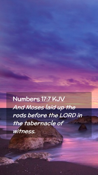 Picture 02 - Numbers 17:7 KJV Mobile Phone Wallpaper - And Moses laid up the rods before the LORD in the - Mobile Bible Verse Wallpaper