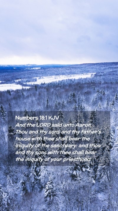 Picture 02 - Numbers 18:1 KJV Mobile Phone Wallpaper - And the LORD said unto Aaron, Thou and thy sons - Mobile Bible Verse Wallpaper