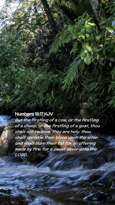 Picture 02 - Numbers 18:17 KJV Mobile Phone Wallpaper - But the firstling of a cow, or the firstling of a - Mobile Bible Verse Wallpaper