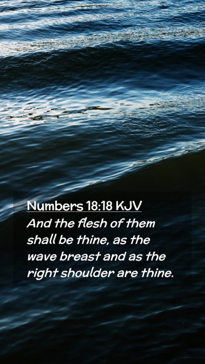 Picture 02 - Numbers 18:18 KJV Mobile Phone Wallpaper - And the flesh of them shall be thine, as the wave - Mobile Bible Verse Wallpaper