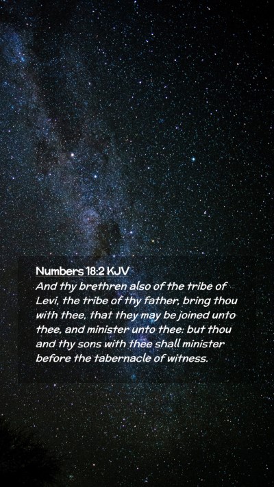 Picture 02 - Numbers 18:2 KJV Mobile Phone Wallpaper - And thy brethren also of the tribe of Levi, the - Mobile Bible Verse Wallpaper