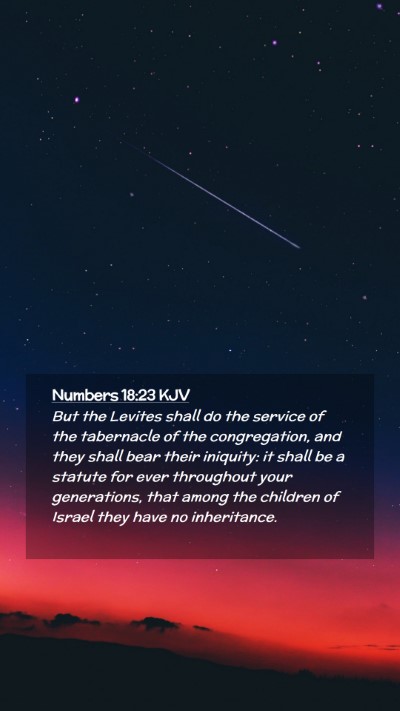 Picture 02 - Numbers 18:23 KJV Mobile Phone Wallpaper - But the Levites shall do the service of the - Mobile Bible Verse Wallpaper