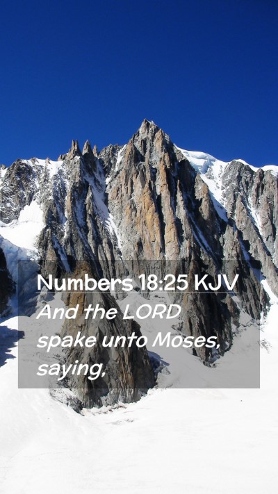 Picture 02 - Numbers 18:25 KJV Mobile Phone Wallpaper - And the LORD spake unto Moses, - Mobile Bible Verse Wallpaper