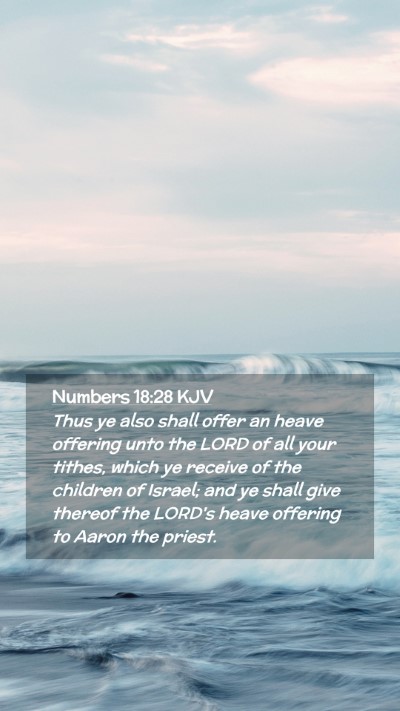 Picture 02 - Numbers 18:28 KJV Mobile Phone Wallpaper - Thus ye also shall offer an heave offering unto - Mobile Bible Verse Wallpaper