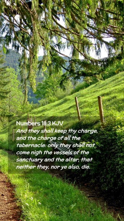 Picture 02 - Numbers 18:3 KJV Mobile Phone Wallpaper - And they shall keep thy charge, and the charge of - Mobile Bible Verse Wallpaper