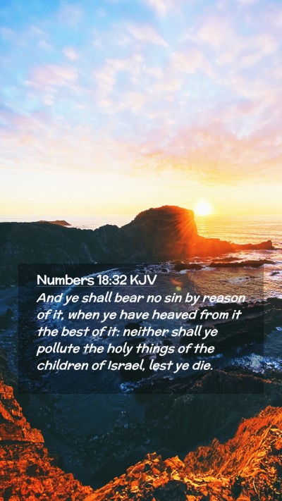Picture 02 - Numbers 18:32 KJV Mobile Phone Wallpaper - And ye shall bear no sin by reason of it, when ye - Mobile Bible Verse Wallpaper