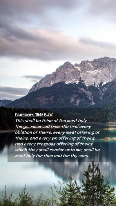 Picture 02 - Numbers 18:9 KJV Mobile Phone Wallpaper - This shall be thine of the most holy things, - Mobile Bible Verse Wallpaper