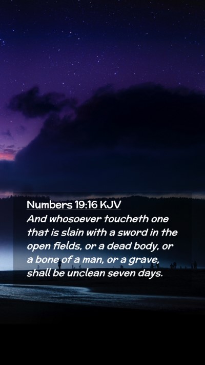 Picture 02 - Numbers 19:16 KJV Mobile Phone Wallpaper - And whosoever toucheth one that is slain with a - Mobile Bible Verse Wallpaper