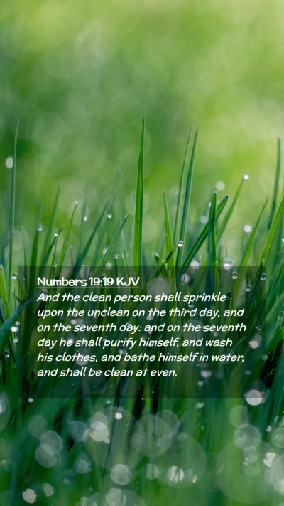 Picture 02 - Numbers 19:19 KJV Mobile Phone Wallpaper - And the clean person shall sprinkle upon the - Mobile Bible Verse Wallpaper