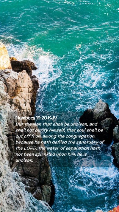 Picture 02 - Numbers 19:20 KJV Mobile Phone Wallpaper - But the man that shall be unclean, and shall not - Mobile Bible Verse Wallpaper