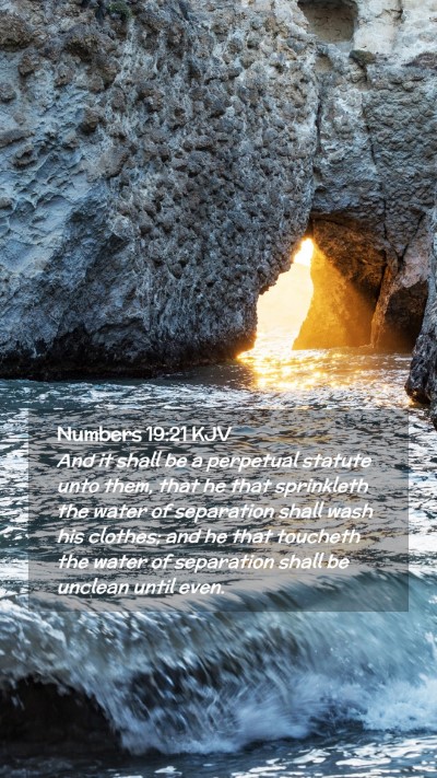 Picture 02 - Numbers 19:21 KJV Mobile Phone Wallpaper - And it shall be a perpetual statute unto them, - Mobile Bible Verse Wallpaper