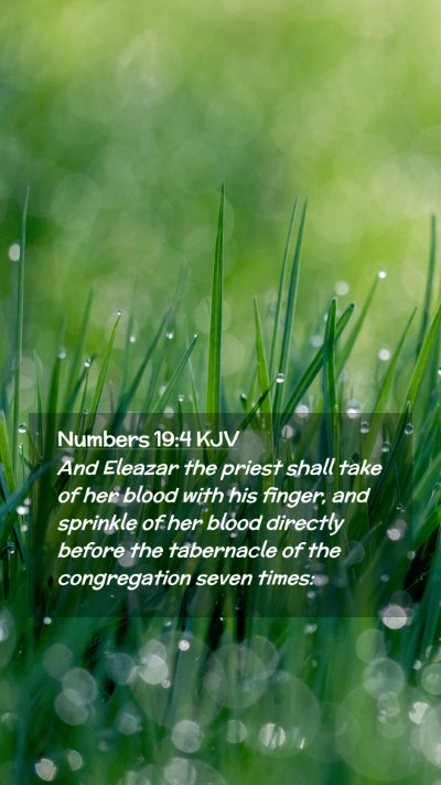 Picture 02 - Numbers 19:4 KJV Mobile Phone Wallpaper - And Eleazar the priest shall take of her blood - Mobile Bible Verse Wallpaper