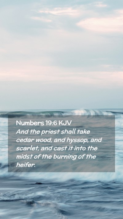 Picture 02 - Numbers 19:6 KJV Mobile Phone Wallpaper - And the priest shall take cedar wood, and hyssop, - Mobile Bible Verse Wallpaper