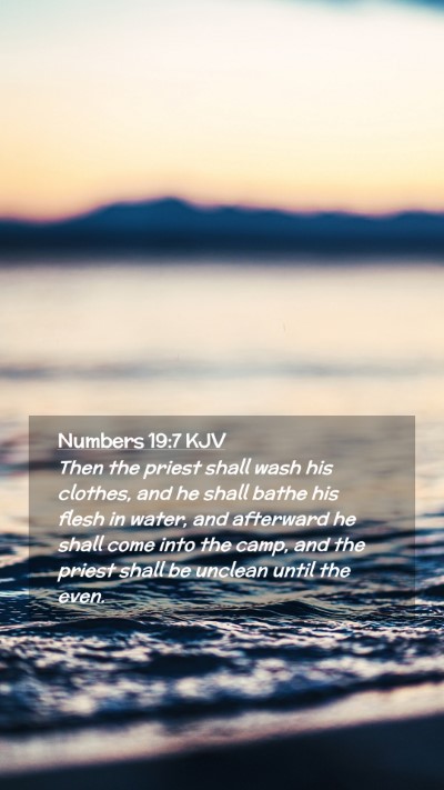 Picture 02 - Numbers 19:7 KJV Mobile Phone Wallpaper - Then the priest shall wash his clothes, and he - Mobile Bible Verse Wallpaper