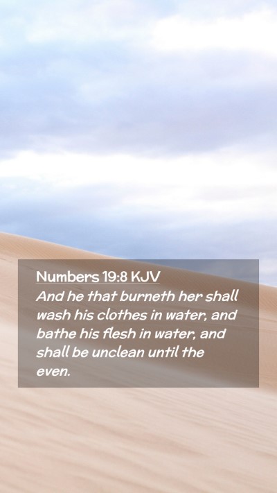 Picture 02 - Numbers 19:8 KJV Mobile Phone Wallpaper - And he that burneth her shall wash his clothes in - Mobile Bible Verse Wallpaper