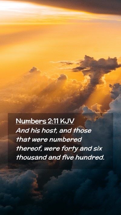 Picture 02 - Numbers 2:11 KJV Mobile Phone Wallpaper - And his host, and those that were numbered - Mobile Bible Verse Wallpaper
