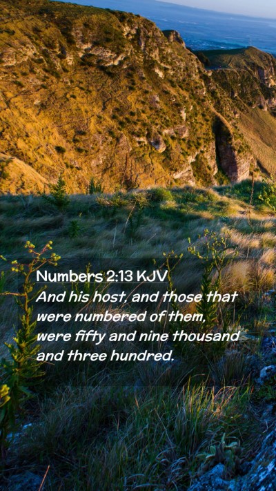 Picture 02 - Numbers 2:13 KJV Mobile Phone Wallpaper - And his host, and those that were numbered of - Mobile Bible Verse Wallpaper