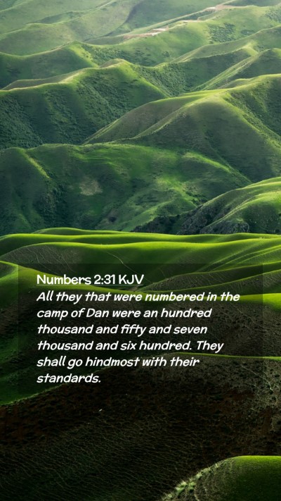 Picture 02 - Numbers 2:31 KJV Mobile Phone Wallpaper - All they that were numbered in the camp of Dan - Mobile Bible Verse Wallpaper