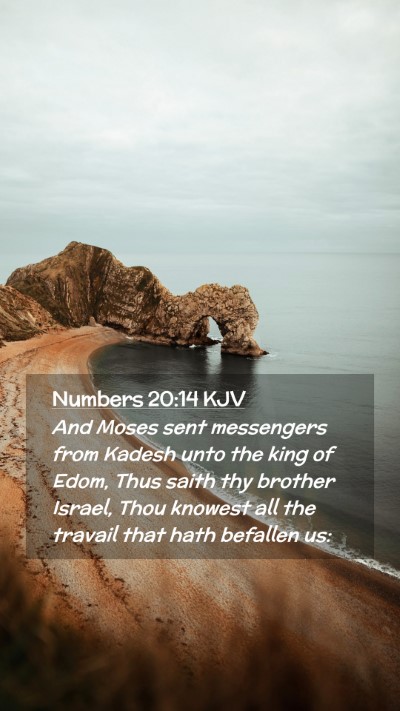 Picture 02 - Numbers 20:14 KJV Mobile Phone Wallpaper - And Moses sent messengers from Kadesh unto the - Mobile Bible Verse Wallpaper