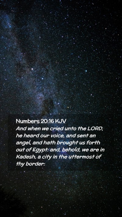 Picture 02 - Numbers 20:16 KJV Mobile Phone Wallpaper - And when we cried unto the LORD, he heard our - Mobile Bible Verse Wallpaper