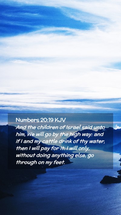 Picture 02 - Numbers 20:19 KJV Mobile Phone Wallpaper - And the children of Israel said unto him, We will - Mobile Bible Verse Wallpaper