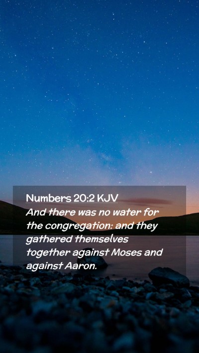 Picture 02 - Numbers 20:2 KJV Mobile Phone Wallpaper - And there was no water for the congregation: and - Mobile Bible Verse Wallpaper