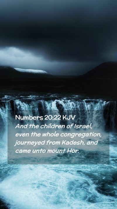 Picture 02 - Numbers 20:22 KJV Mobile Phone Wallpaper - And the children of Israel, even the whole - Mobile Bible Verse Wallpaper