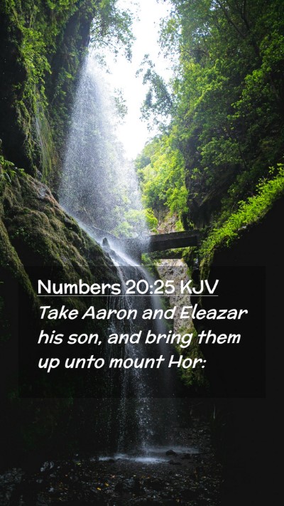 Picture 02 - Numbers 20:25 KJV Mobile Phone Wallpaper - Take Aaron and Eleazar his son, and bring them up - Mobile Bible Verse Wallpaper