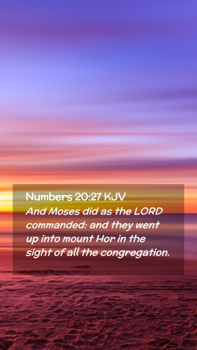 Picture 02 - Numbers 20:27 KJV Mobile Phone Wallpaper - And Moses did as the LORD commanded: and they - Mobile Bible Verse Wallpaper