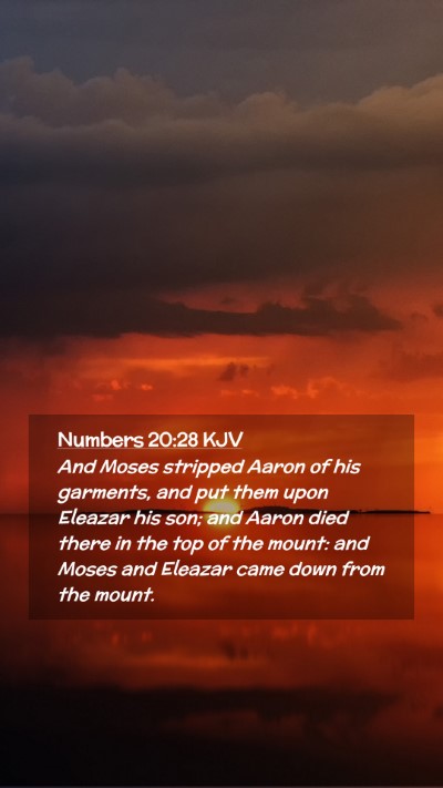 Picture 02 - Numbers 20:28 KJV Mobile Phone Wallpaper - And Moses stripped Aaron of his garments, and put - Mobile Bible Verse Wallpaper