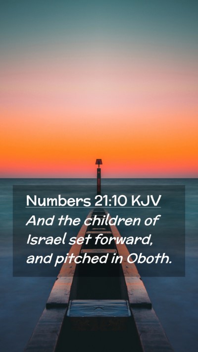 Picture 02 - Numbers 21:10 KJV Mobile Phone Wallpaper - And the children of Israel set forward, and - Mobile Bible Verse Wallpaper
