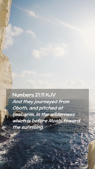 Picture 02 - Numbers 21:11 KJV Mobile Phone Wallpaper - And they journeyed from Oboth, and pitched at - Mobile Bible Verse Wallpaper
