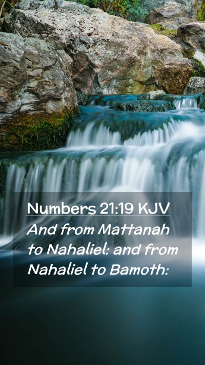 Picture 02 - Numbers 21:19 KJV Mobile Phone Wallpaper - And from Mattanah to Nahaliel: and from Nahaliel - Mobile Bible Verse Wallpaper