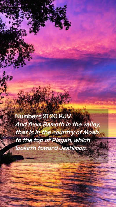 Picture 02 - Numbers 21:20 KJV Mobile Phone Wallpaper - And from Bamoth in the valley, that is in the - Mobile Bible Verse Wallpaper