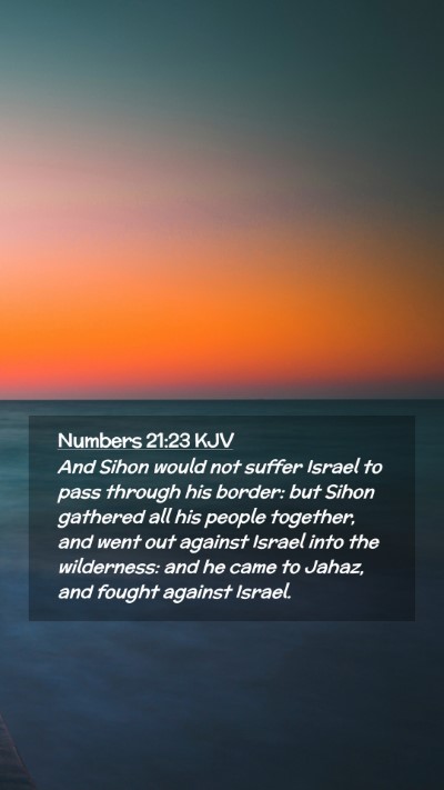 Picture 02 - Numbers 21:23 KJV Mobile Phone Wallpaper - And Sihon would not suffer Israel to pass through - Mobile Bible Verse Wallpaper