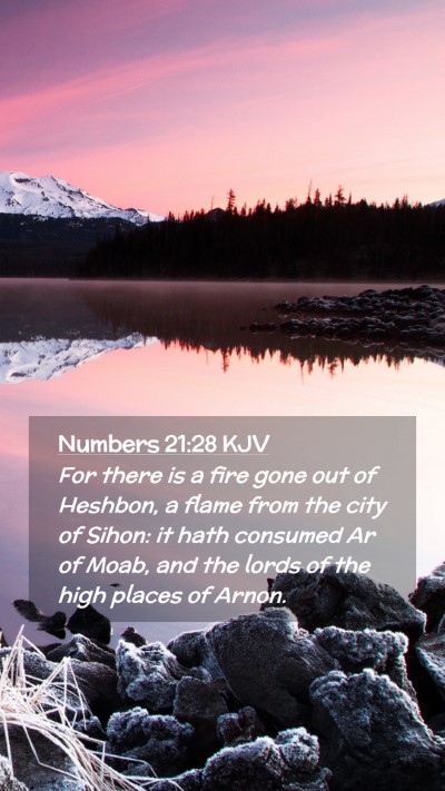 Picture 02 - Numbers 21:28 KJV Mobile Phone Wallpaper - For there is a fire gone out of Heshbon, a flame - Mobile Bible Verse Wallpaper