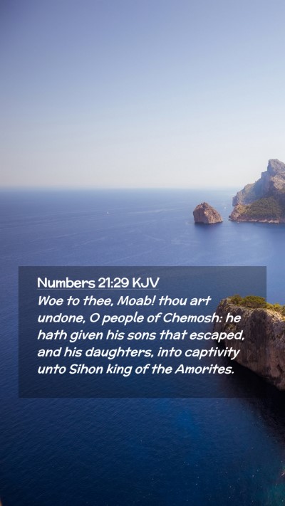 Picture 02 - Numbers 21:29 KJV Mobile Phone Wallpaper - Woe to thee, Moab! thou art undone, O people of - Mobile Bible Verse Wallpaper