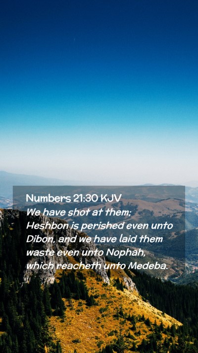 Picture 02 - Numbers 21:30 KJV Mobile Phone Wallpaper - We have shot at them; Heshbon is perished even - Mobile Bible Verse Wallpaper
