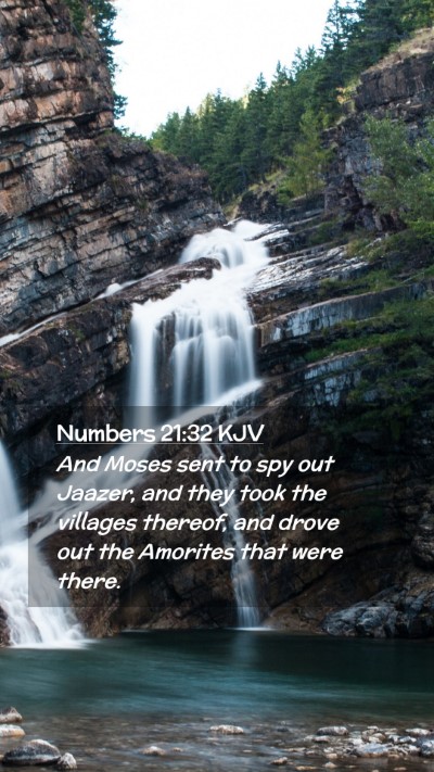 Picture 02 - Numbers 21:32 KJV Mobile Phone Wallpaper - And Moses sent to spy out Jaazer, and they took - Mobile Bible Verse Wallpaper
