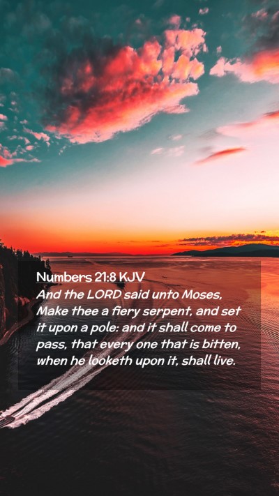Picture 02 - Numbers 21:8 KJV Mobile Phone Wallpaper - And the LORD said unto Moses, Make thee a fiery - Mobile Bible Verse Wallpaper