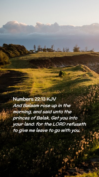 Picture 02 - Numbers 22:13 KJV Mobile Phone Wallpaper - And Balaam rose up in the morning, and said unto - Mobile Bible Verse Wallpaper