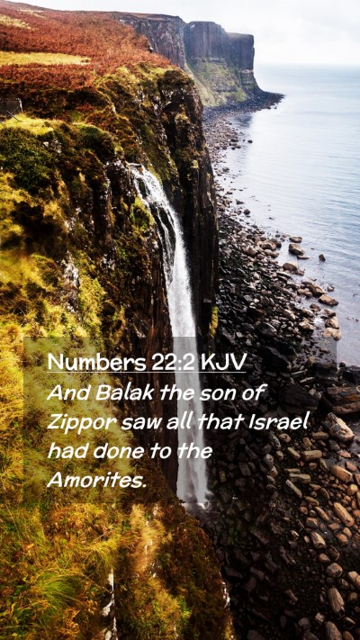 Picture 02 - Numbers 22:2 KJV Mobile Phone Wallpaper - And Balak the son of Zippor saw all that Israel - Mobile Bible Verse Wallpaper